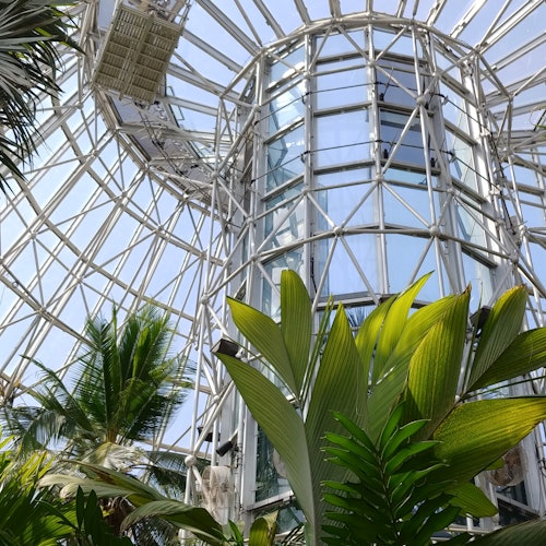 San Antonio Botanical Garden: Entry Ticket
