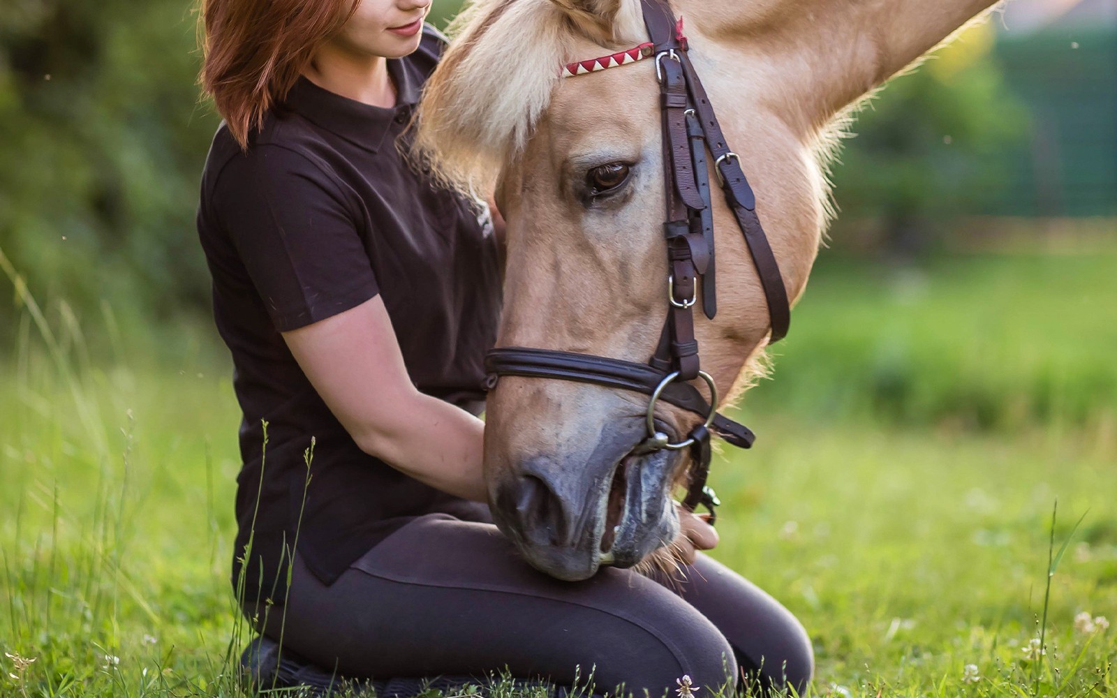 Tickets to Half-Day Horse Riding Experience with Private Transfers