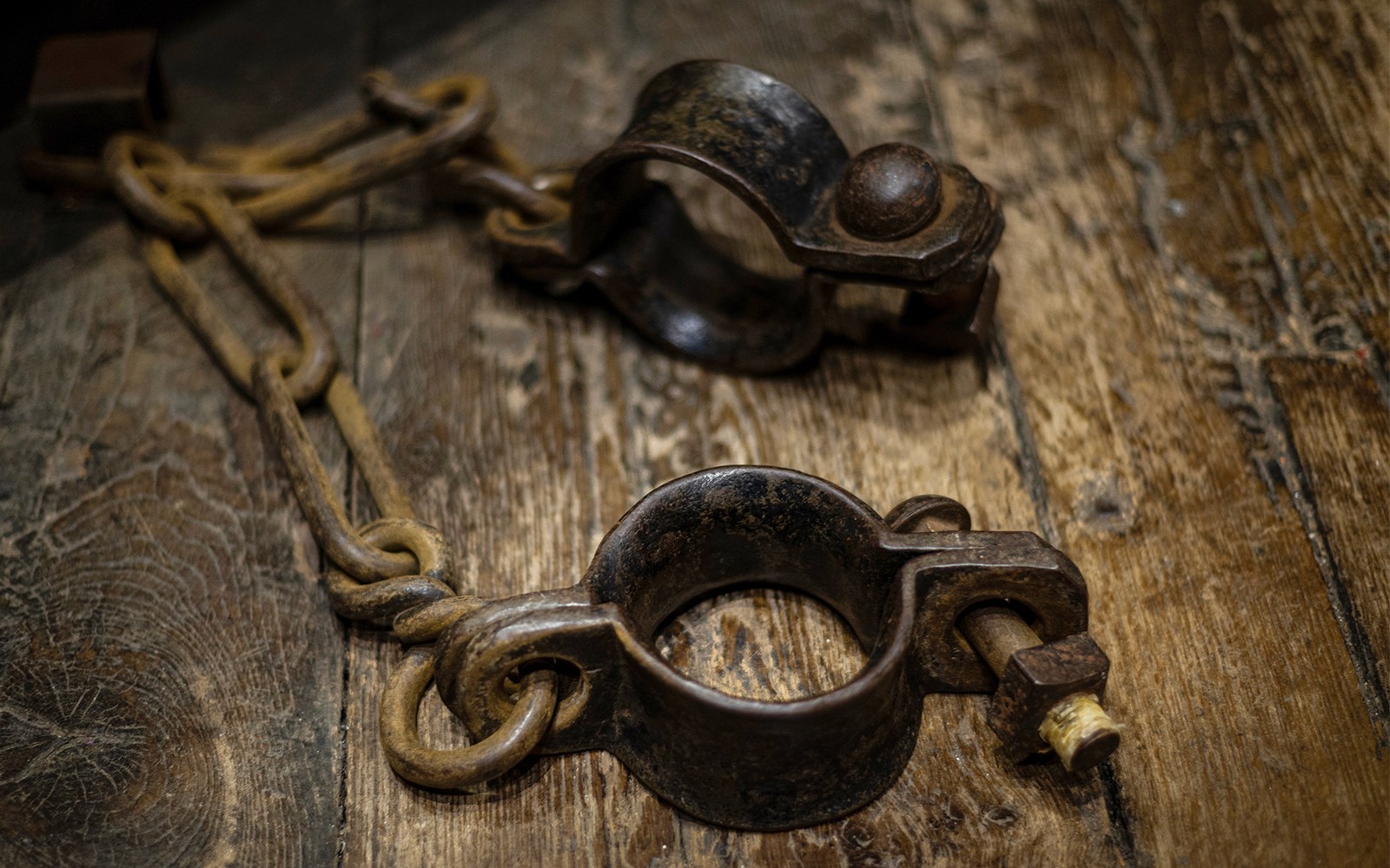 Walking Tour of The Edinburgh Dungeon — portrait
