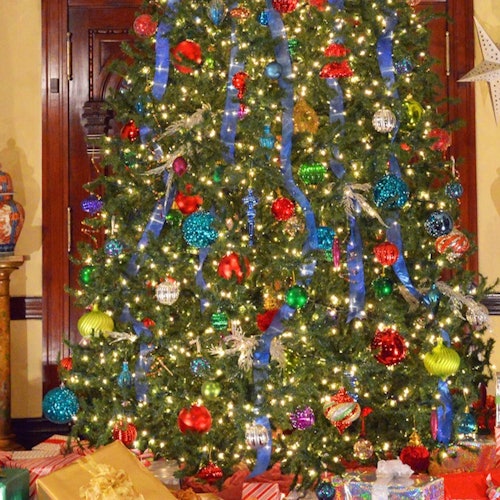 Henry B. Plant Museum: Victorian Christmas Stroll