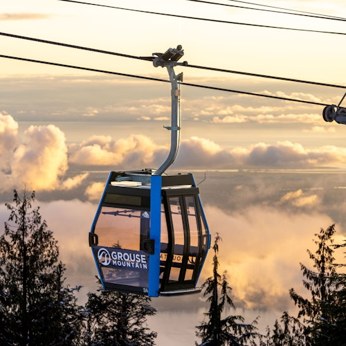 Grouse Mountain: Winter Admission Ticket — gallery 1