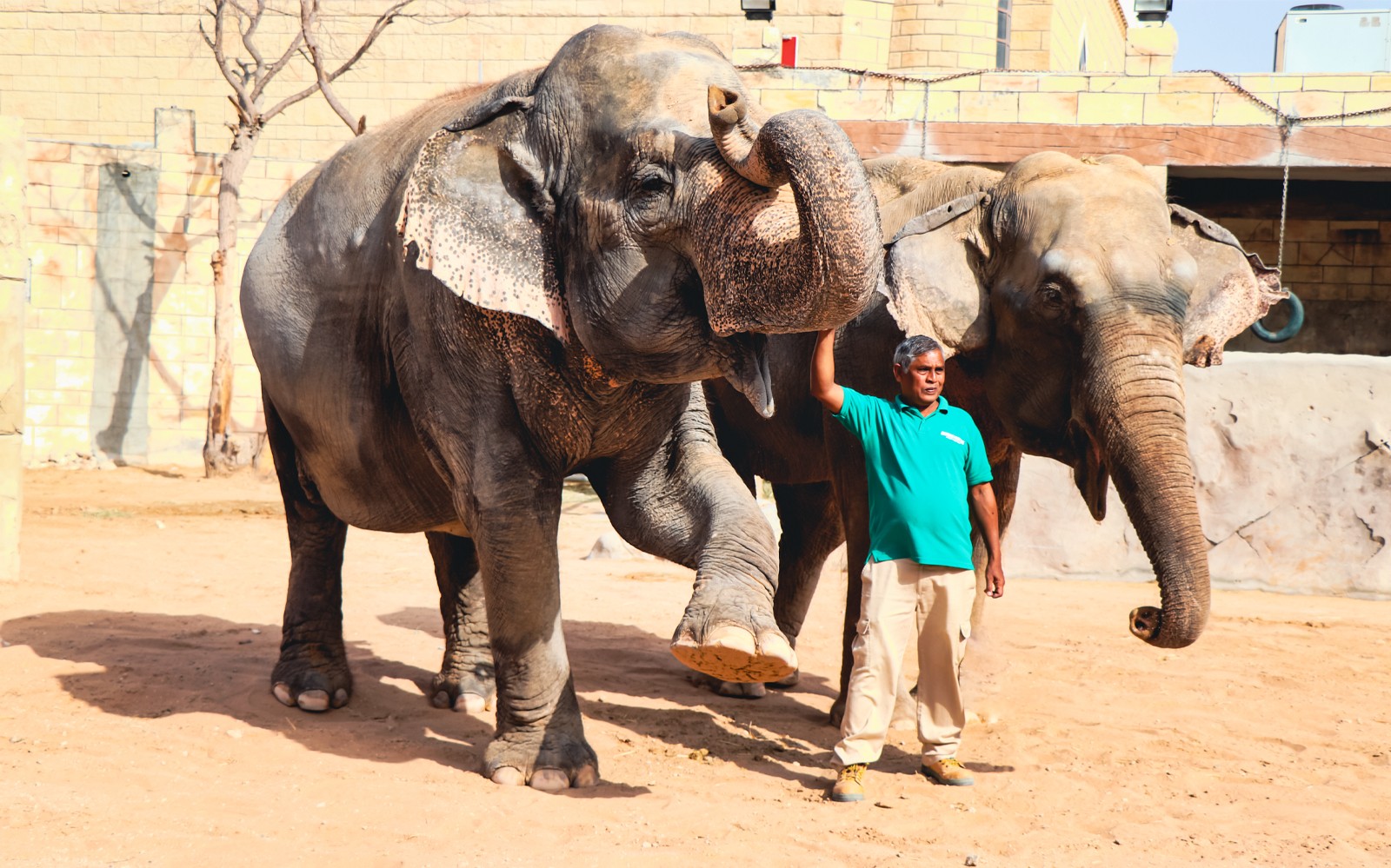 Emirates Park Zoo Tickets — gallery 1