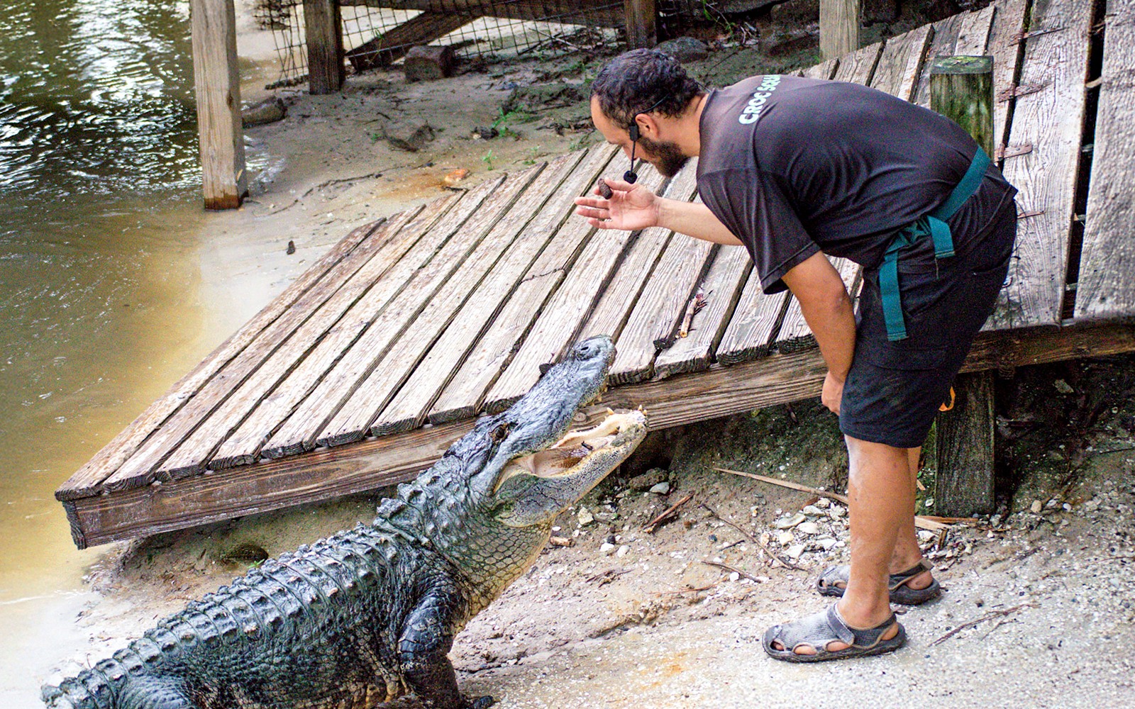 Orlando: Wild Florida 1‑Hour Airboat Tour with Gator Park Tickets