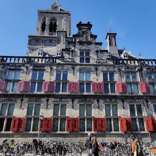 Delft: Guided City Walking Tour