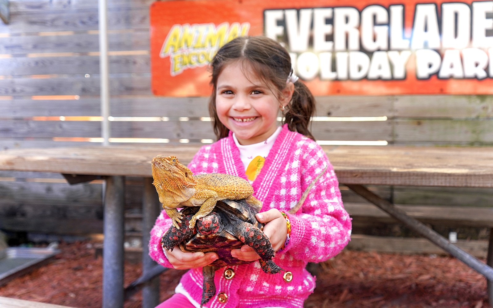 Miami: Everglades Holiday Park Animal Encounter Experience Tickets — gallery 1