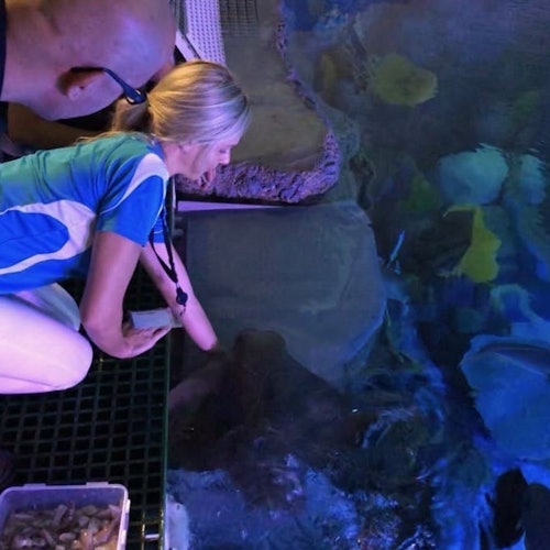 Marine Life Encounter at Cairns Aquarium — gallery 4