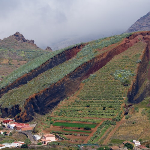 Masca & Teno: Small Group Guided Tour + Transfer + Tasting — gallery 2