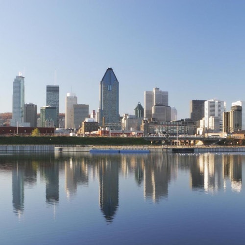 Heart of Montreal: Guided Bus Tour