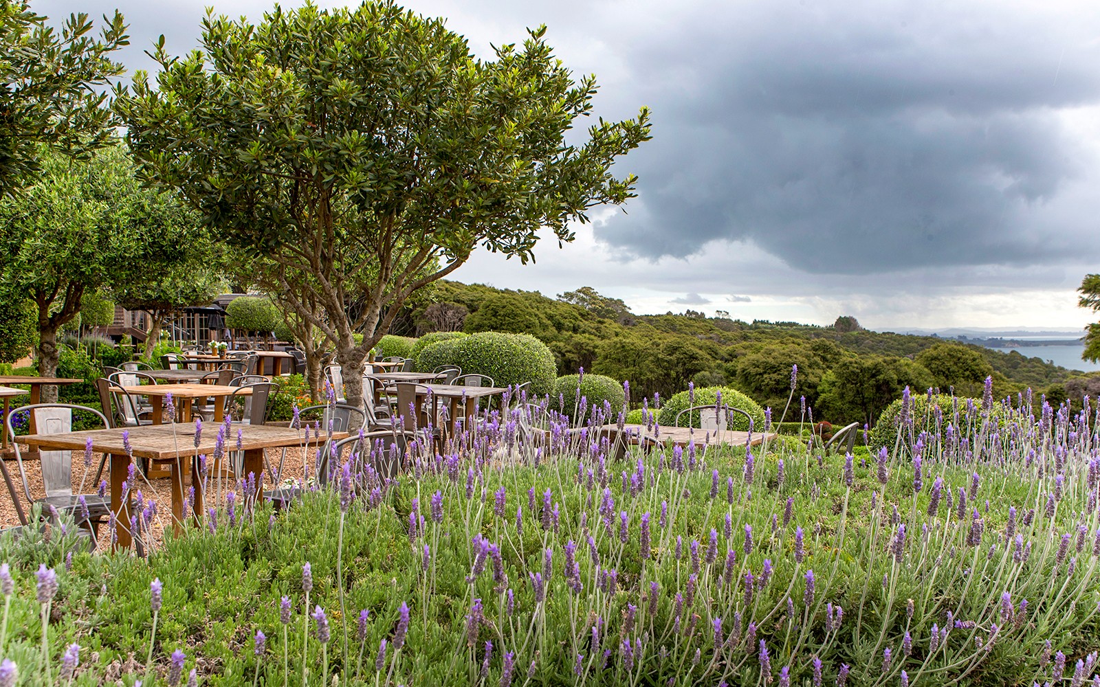 Western Explorer: Waiheke Island Hop-on Hop-off Bus Tour with Optional Ferry Transfers
