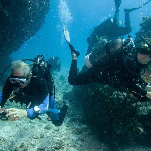 Hurghada: Scuba Diving Adventure + Transfers + Lunch — gallery 1