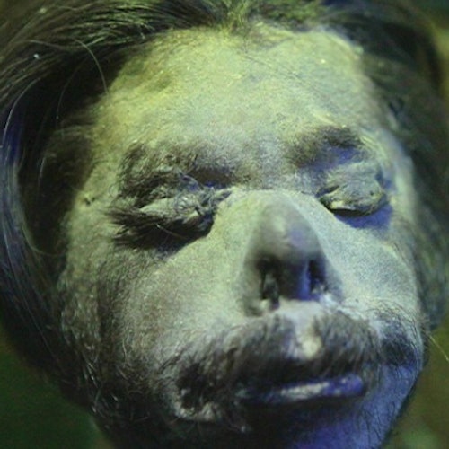Ripley's Believe It or Not! Orlando: Entry Ticket — gallery 4