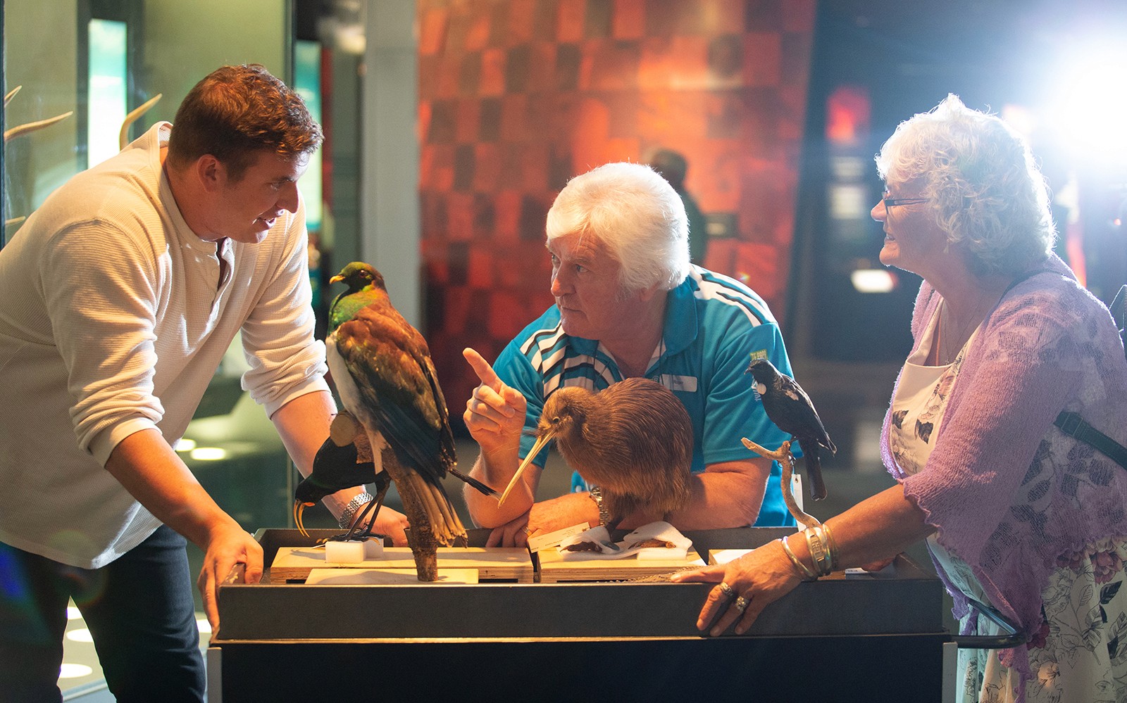 Museum of New Zealand Te Papa Tongarewa Tours — gallery 5