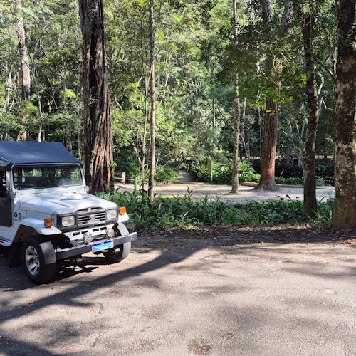 Tijuca National Park: Guided Jeep Adventure from Rio de Janeiro — gallery 3