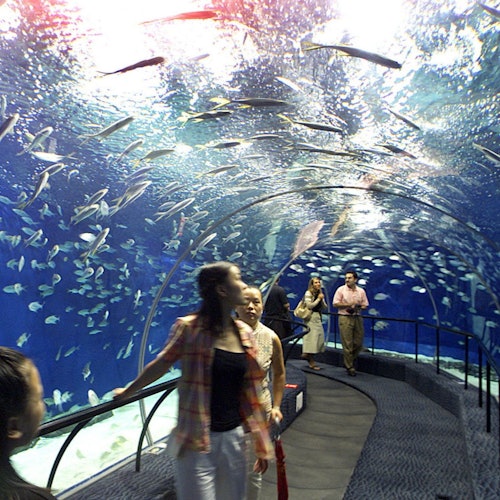 Hurghada Grand Aquarium: Entry Ticket + Roundtrip Transport — gallery 3