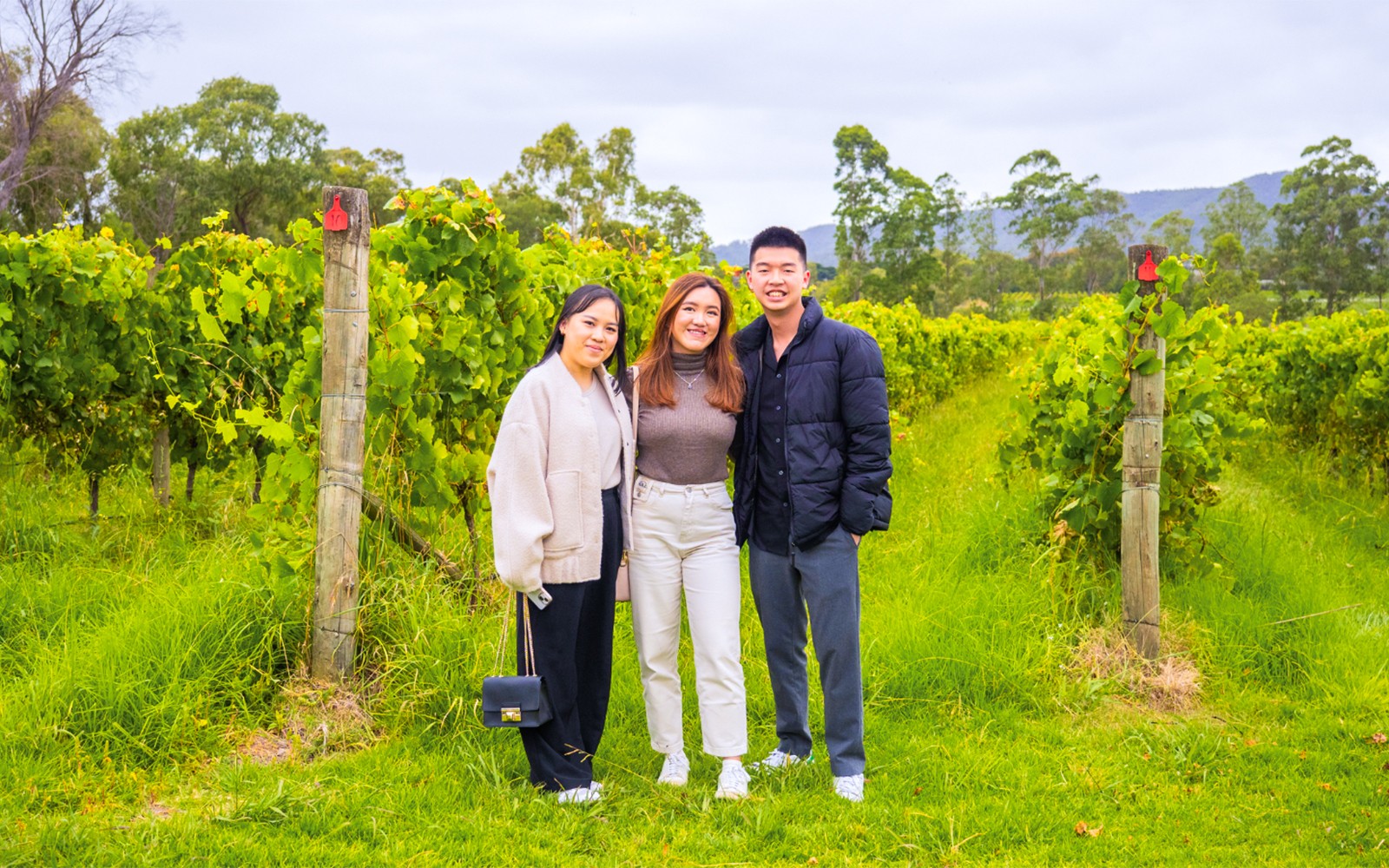 From Melbourne: Yarra Valley Grazing Tour with Gourmet Lunch, Gin, Wine, Cheese & Chocolate Tastings, & Healesville Stop — gallery 4