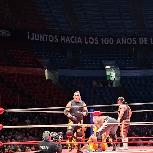 Mexico City: Lucha Libre Show + Meet & Greet — gallery 2