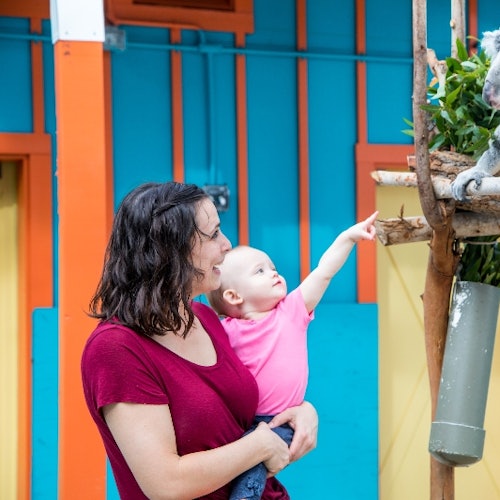 ZooTampa at Lowry Park: Fast Track Ticket — gallery 1