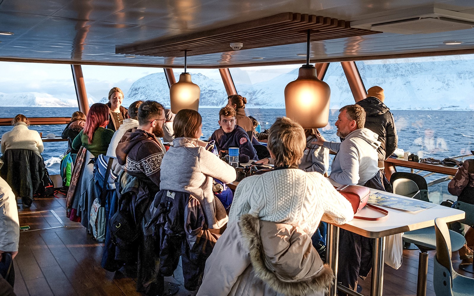 From Tromso: Arctic Fjord Cruise & Wildlife Tour