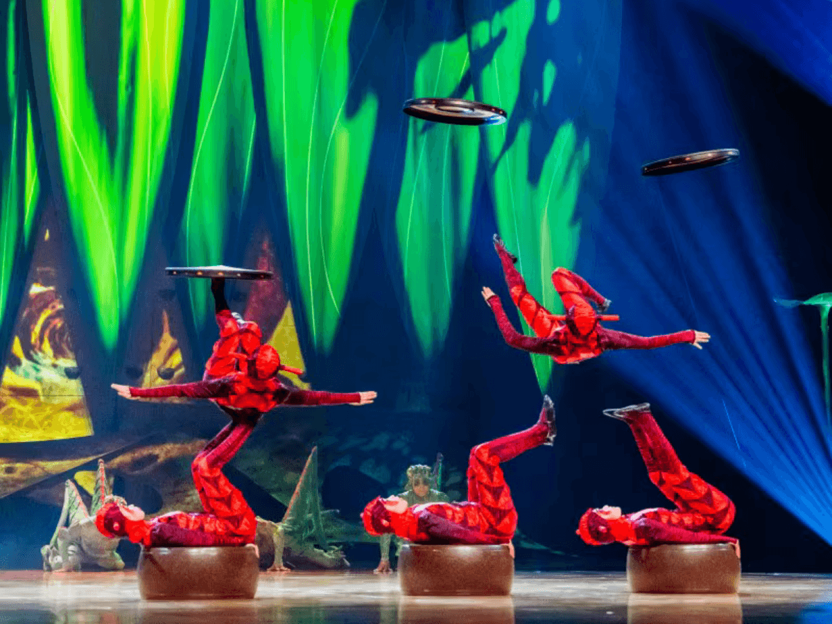 Cirque du Soleil OVO — gallery 2