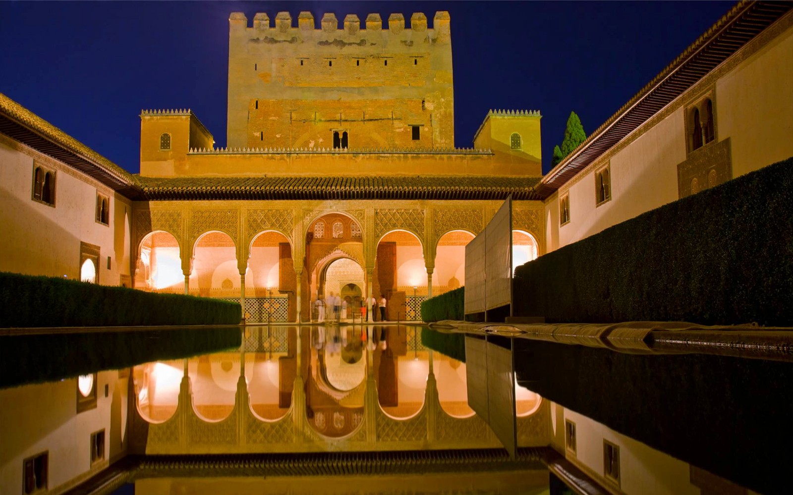All Alhambra Tickets: Private Guided Tour with Nasrid Palaces — gallery 2