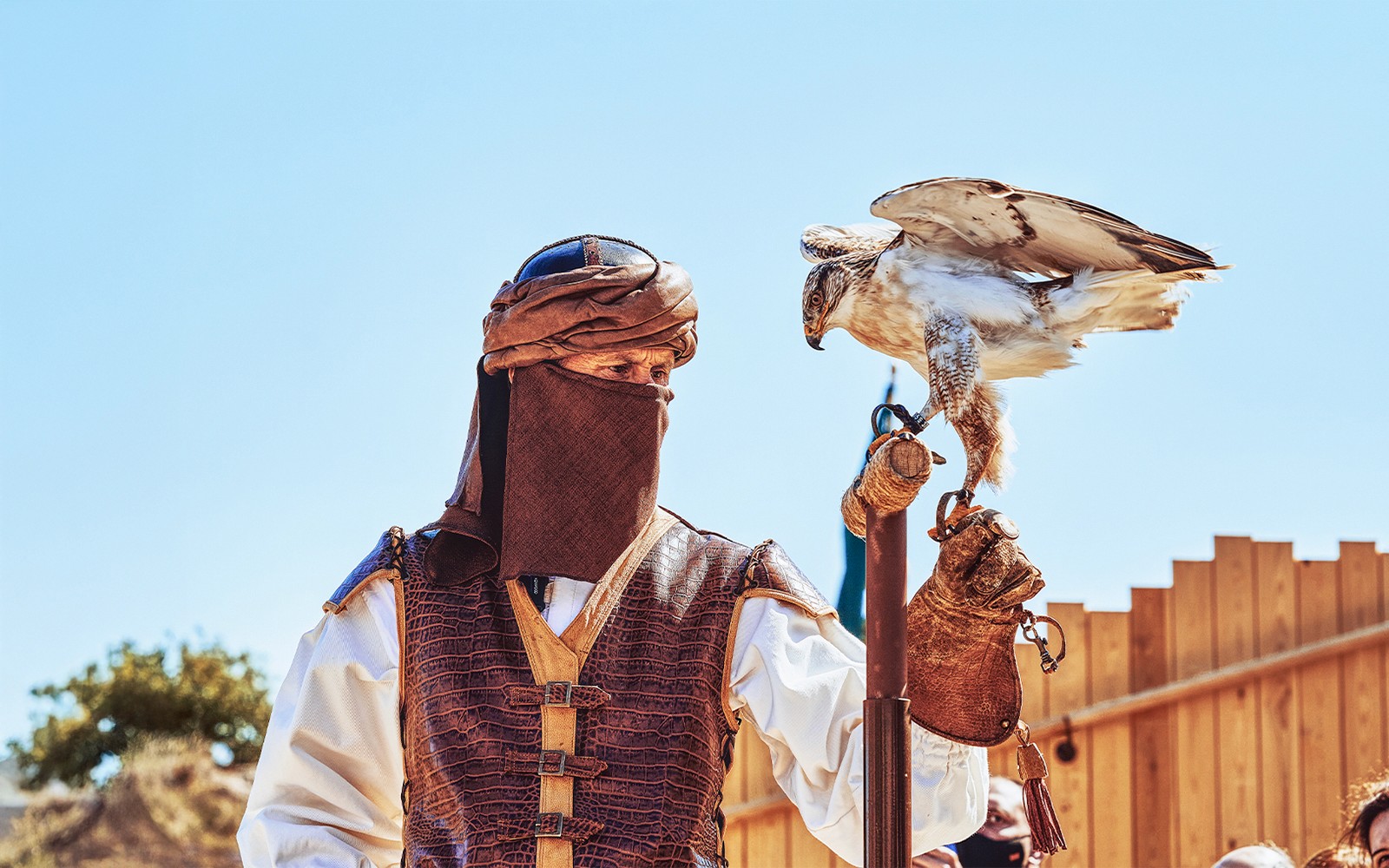 Puy Du Fou España Entry Tickets — gallery 2
