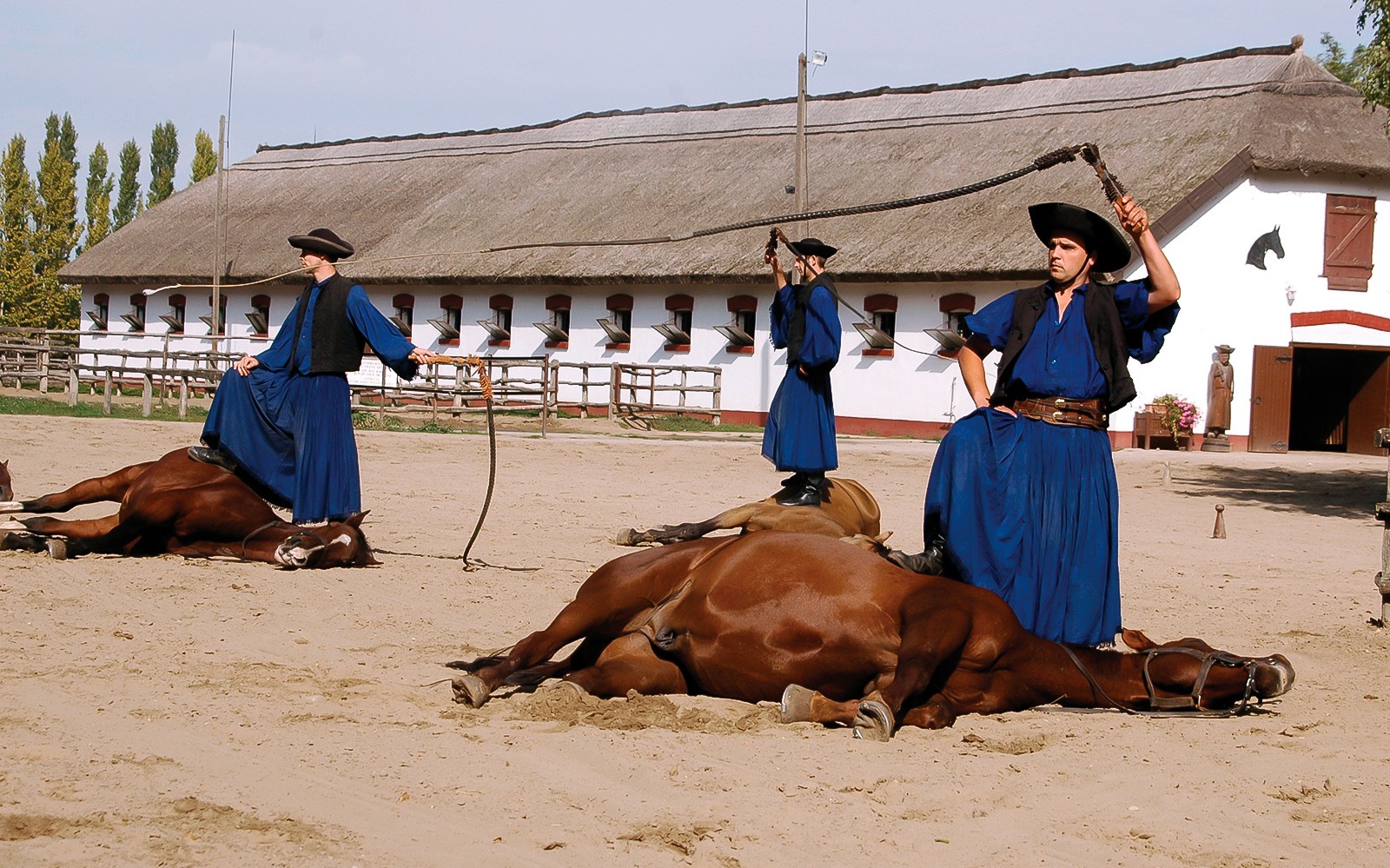 From Budapest: Kecskemet with Traditional Horse Show Day Trip — gallery 1