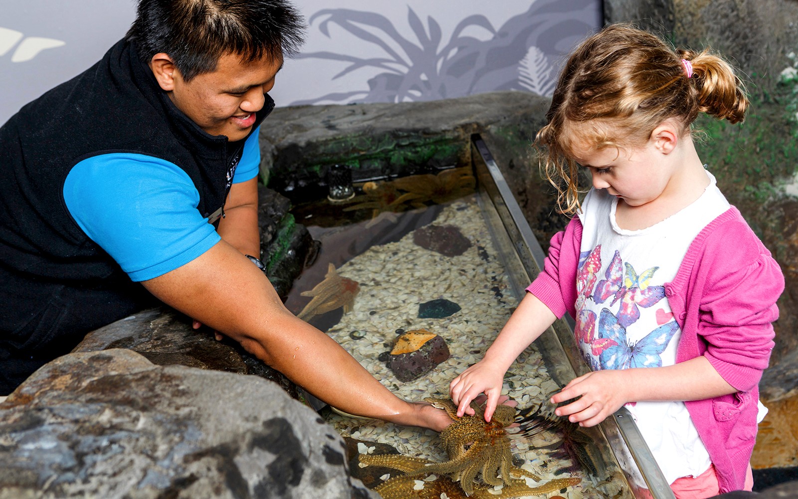 Sea Life Kelly Tarlton's Aquarium Entry Tickets