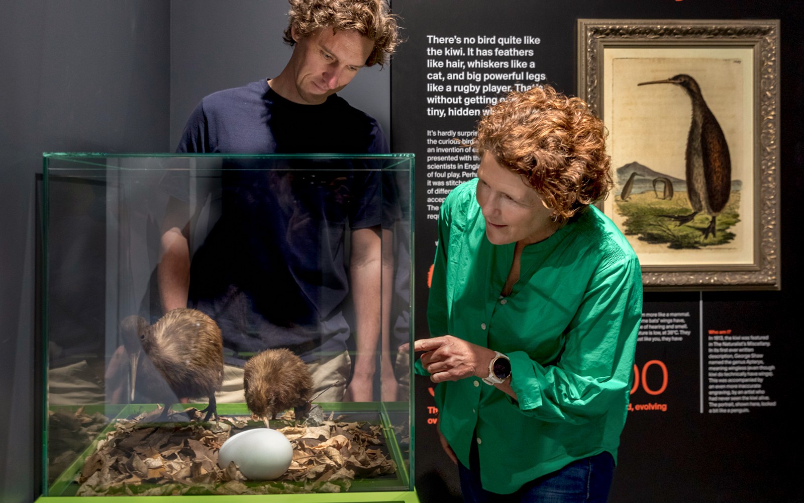 The National Kiwi Hatchery Tour — gallery 1