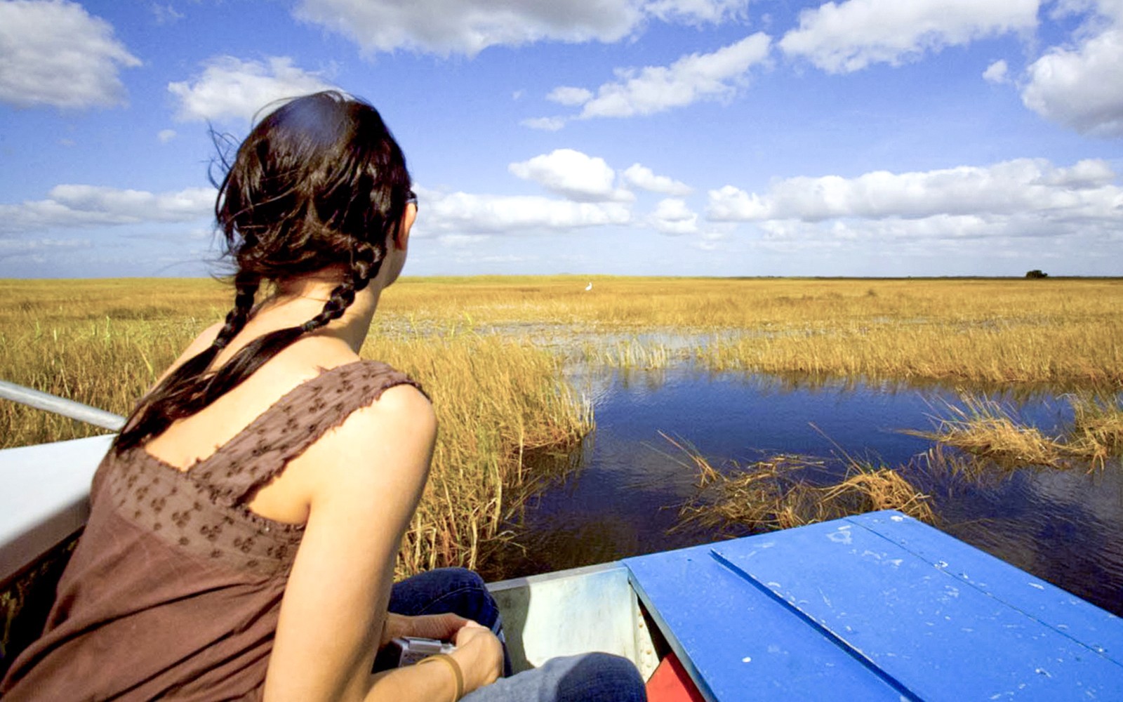 Everglades National Park: Airboat Tour with Reptile Exhibit — gallery 2
