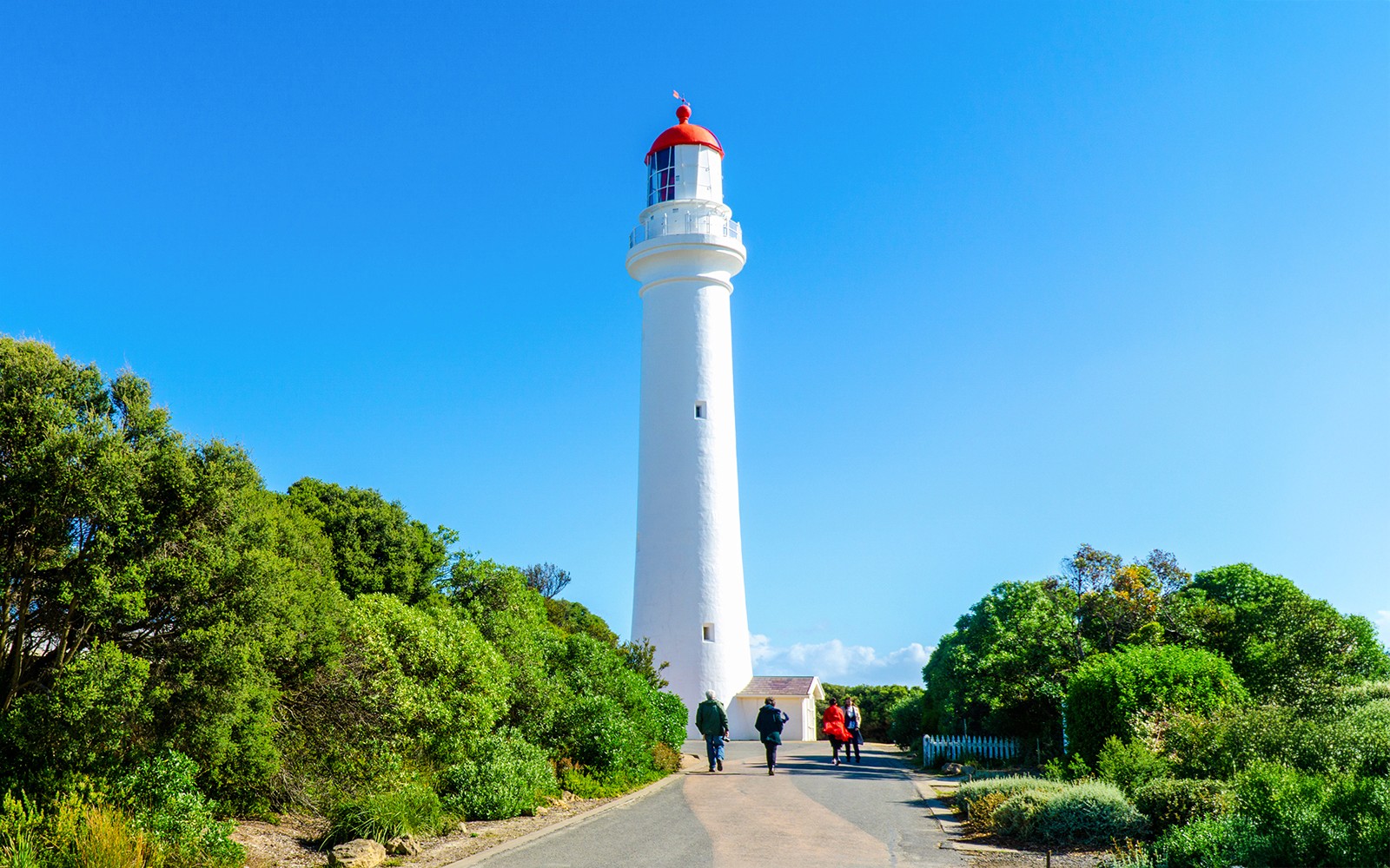 Great Ocean Road & 12 Apostles Day Tour with Classic Spots — gallery 2