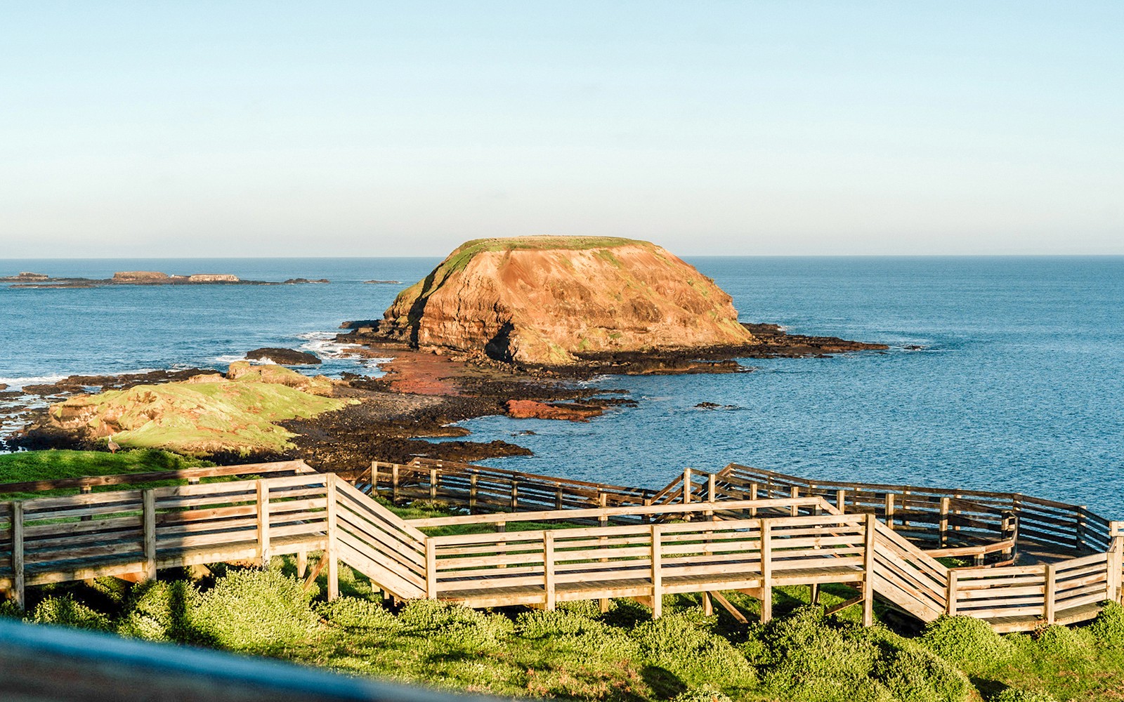 From Melbourne: Half/Full-Day Phillip Island Day Trip with Penguin Parade