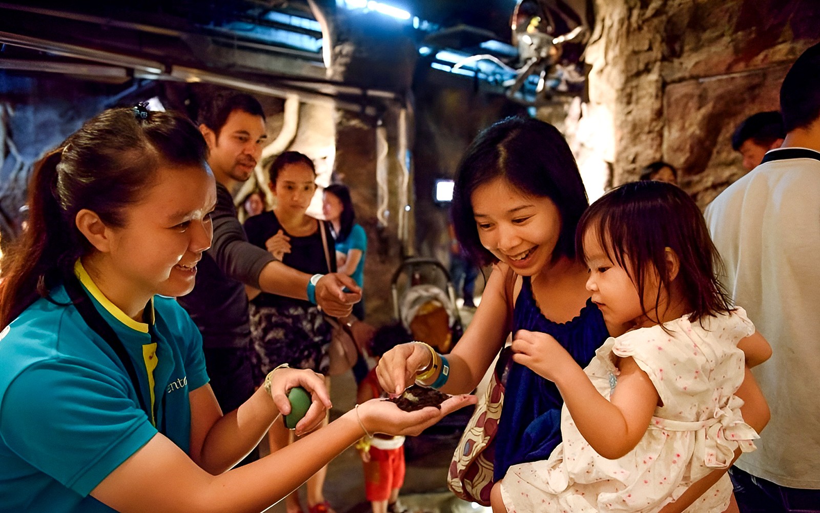 Entopia by Penang Butterfly Farm Tickets — gallery 4