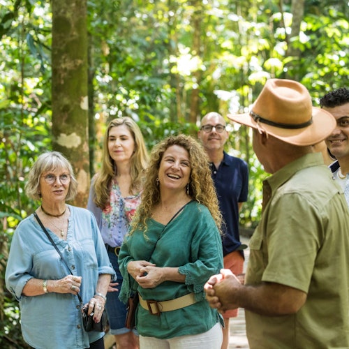 Daintree and Cape Tribulation Full-Day Tour — gallery 1
