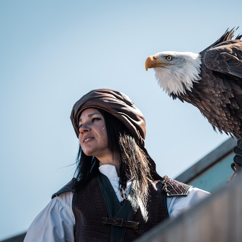 Puy du Fou España: Park Entrance + El Sueño de Toledo Night Show