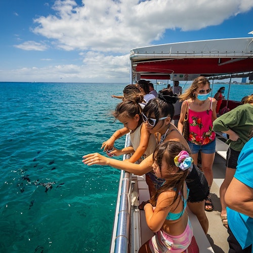 Waikiki: Daytime Glass Bottom Boat Tour