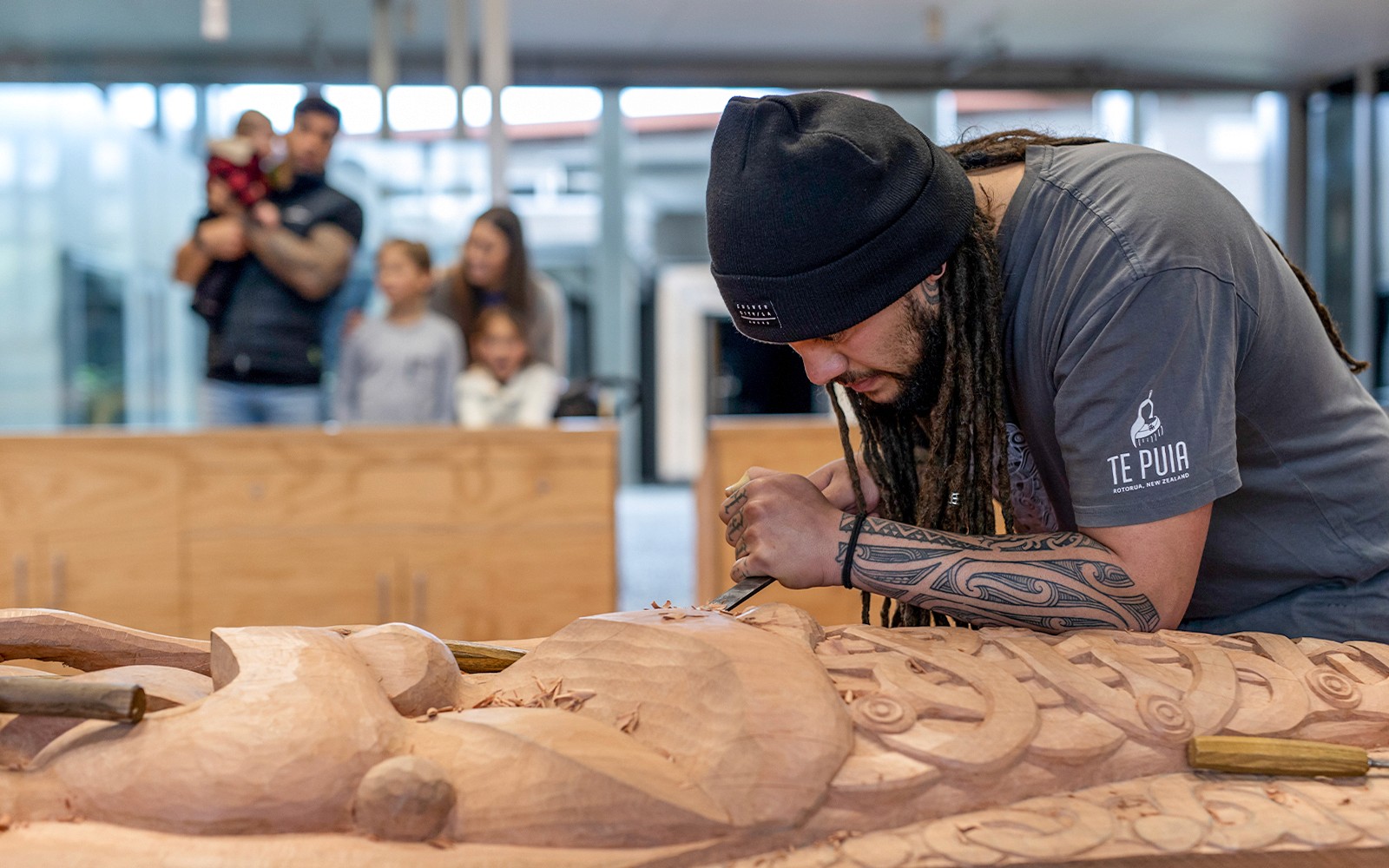 Te Puia: Te Rā Guided Experience