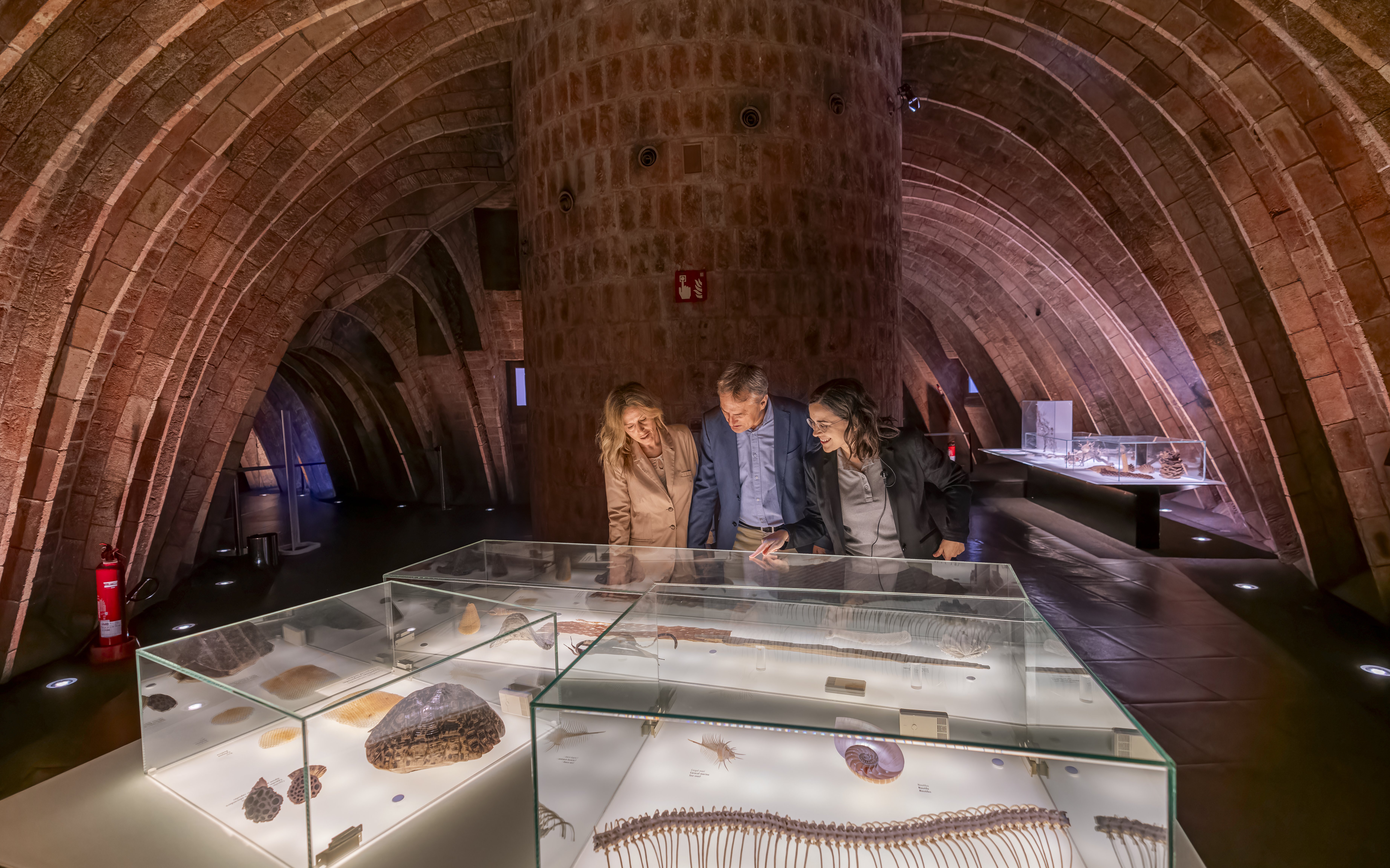 La Pedrera: Premium Small-Group Tour with Exclusive Access & Cava — gallery 1