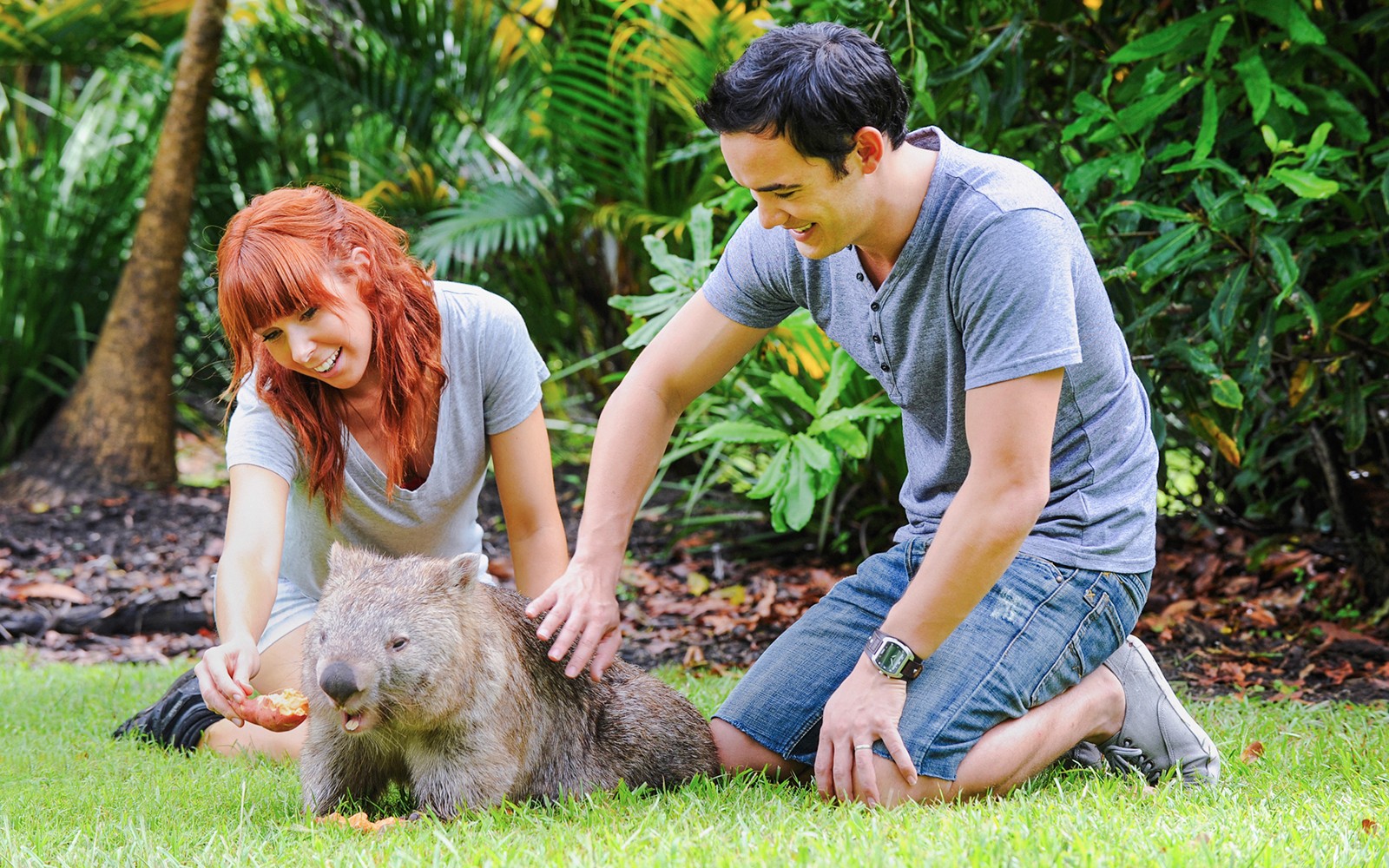 From Brisbane: Australia Zoo, Mooloolaba Beach & Surf Club Tour with Lunch & Drinks