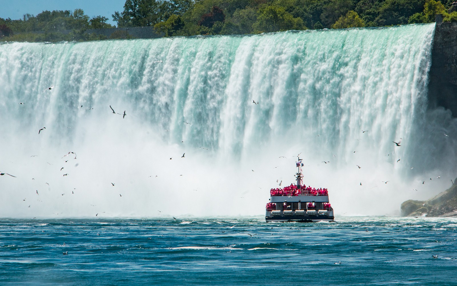From Toronto: Niagara Falls Day Tour with Optional Add-Ons — gallery 1