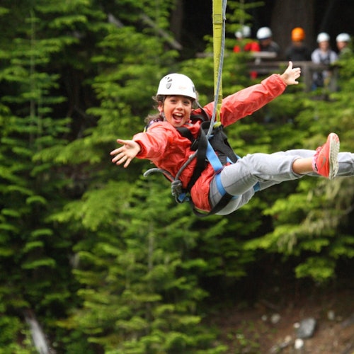 Whistler Ziptrek Ecotours: Zipline Adventure
