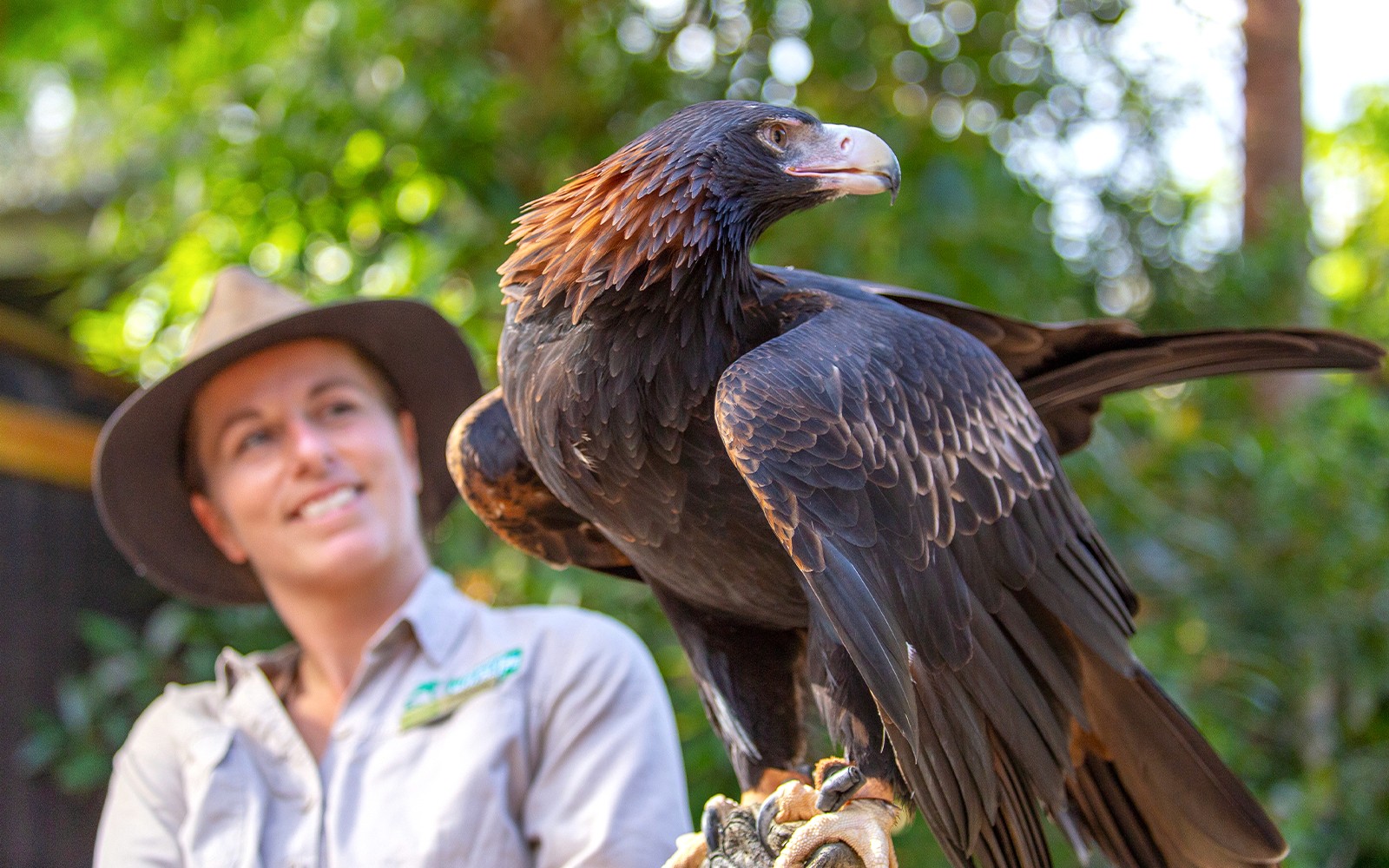 Currumbin Wildlife Sanctuary Tickets — gallery 2