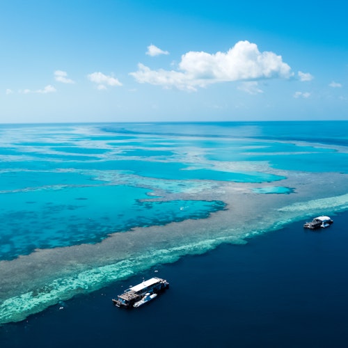 Great Barrier Reef: Pontoon Cruise + Semi-Submarine Tour + Buffet Lunch — gallery 1