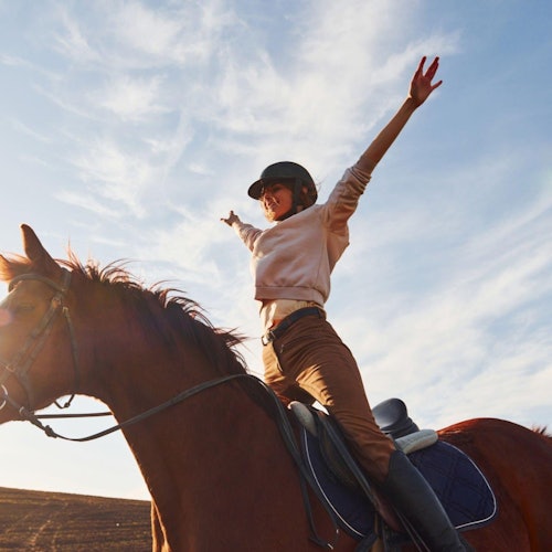 Horse Riding Tour: Sea and Desert with Transfer - Hurghada — gallery 1