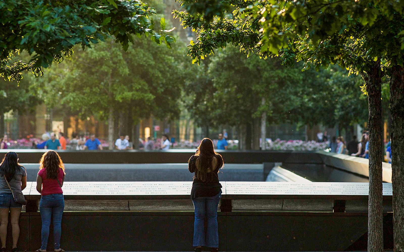 American Museum of Natural History plus 1-3 Top NYC Attraction Tickets