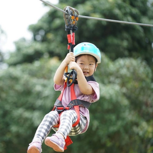 Tarzan Adventure Pattaya: Zipline Experience — gallery 3