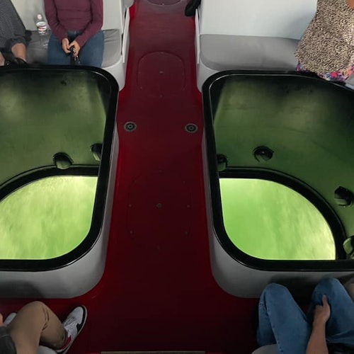 Los Angeles Long Beach Harbor: Eco-Tour Cruise in a Glass Bottom Boat — gallery 2