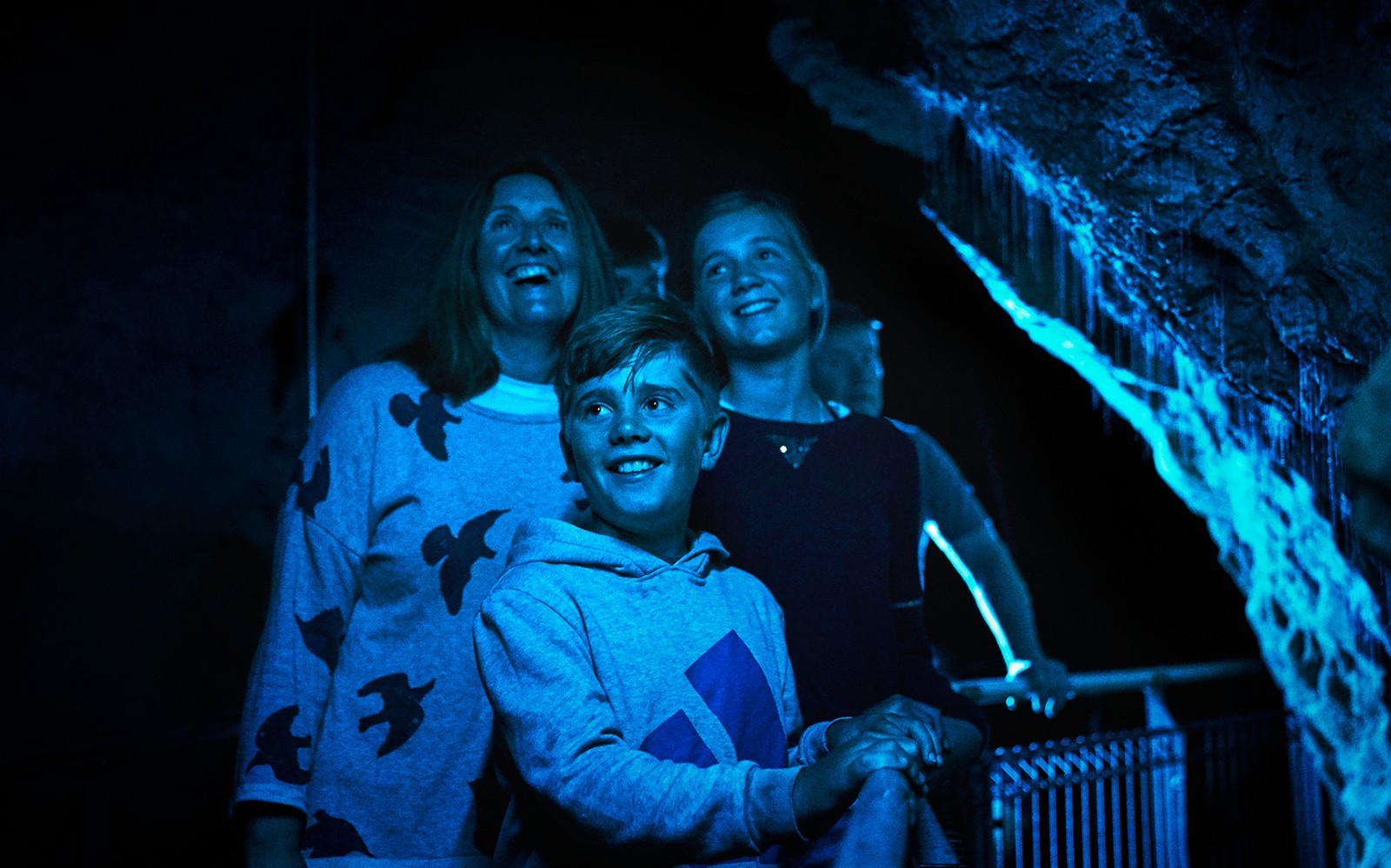 Waitomo Glowworm Caves Guided Tour