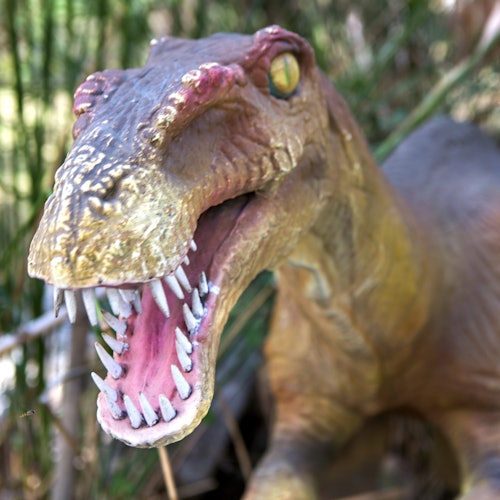 Dinopark Antalya: Entry Ticket — gallery 1
