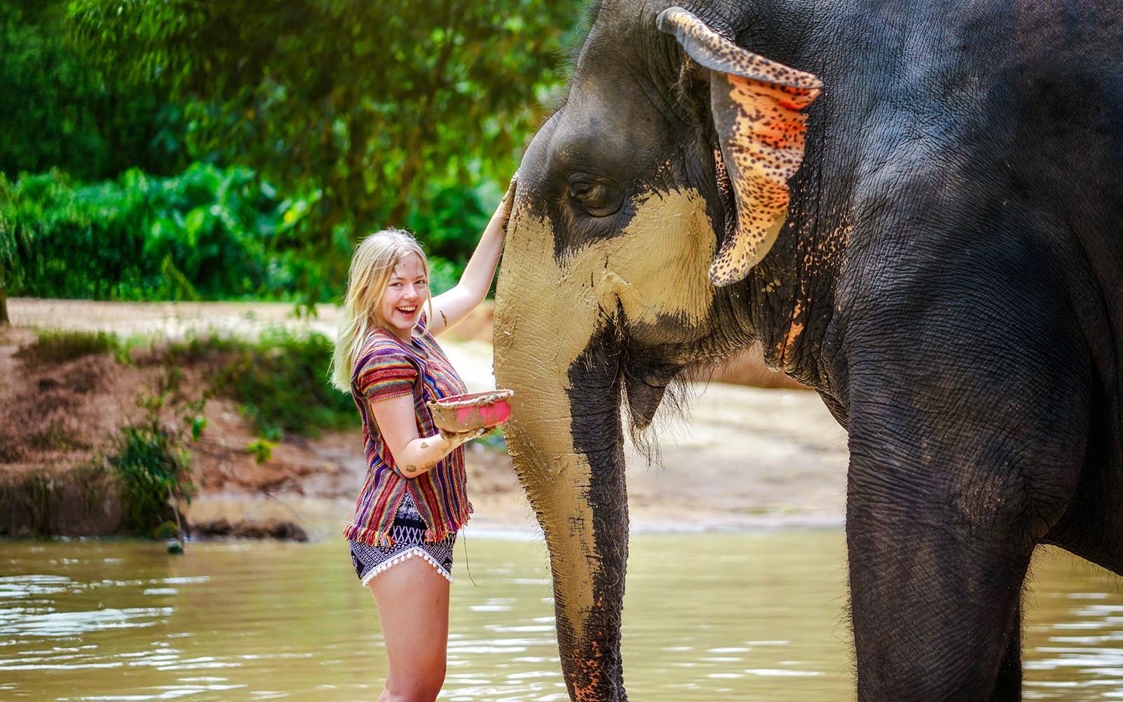 Phuket Elephant Jungle Sanctuary: Feed, Shower & Mud Spa Guided Tours with Optional Transfers