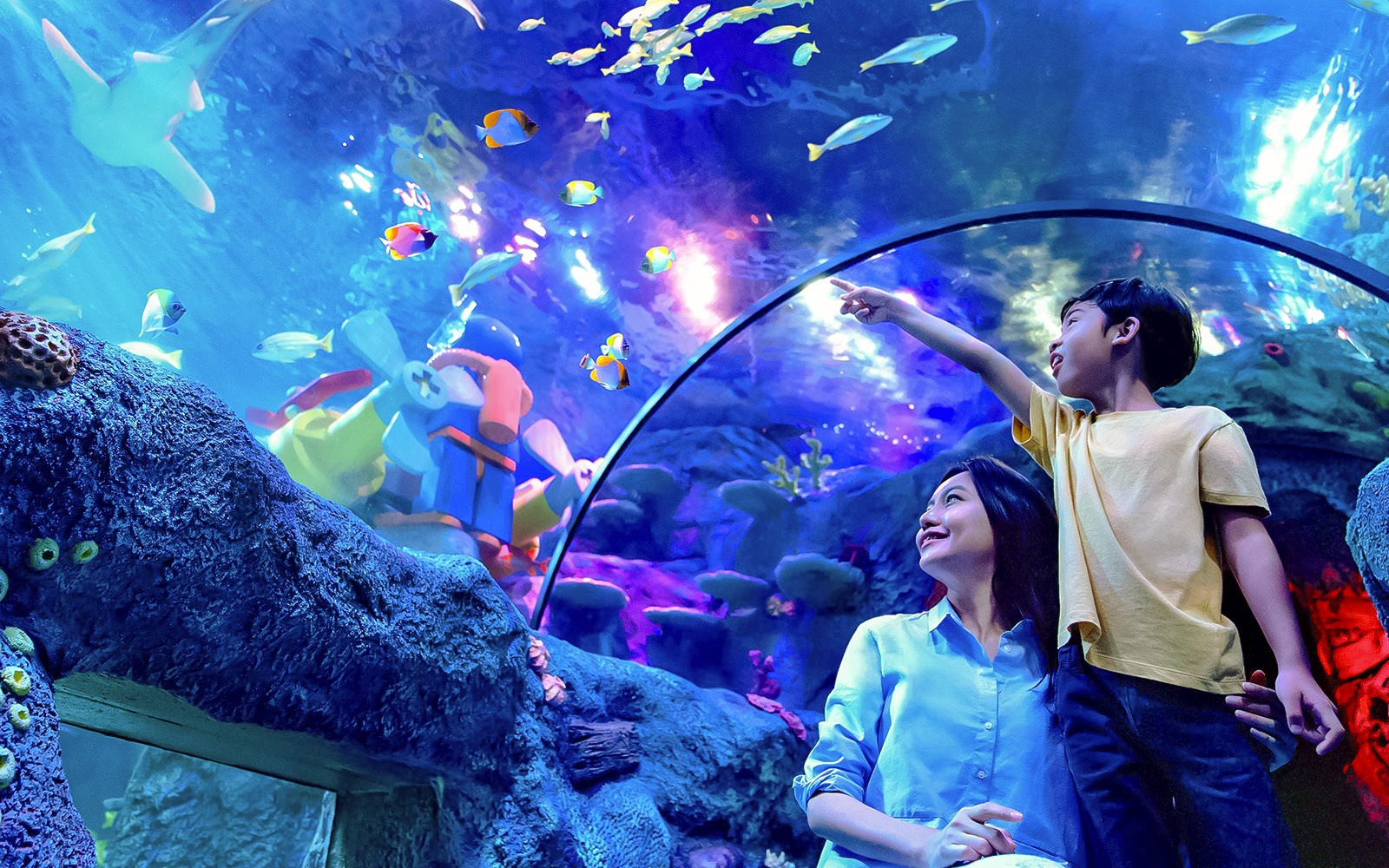 LEGOLAND® Malaysia SEA LIFE — gallery 2